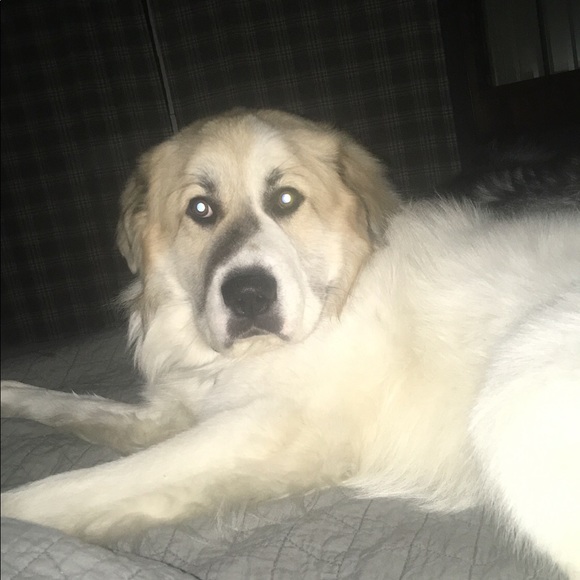 Meet your Posher, Emily - Picture 1 of 1